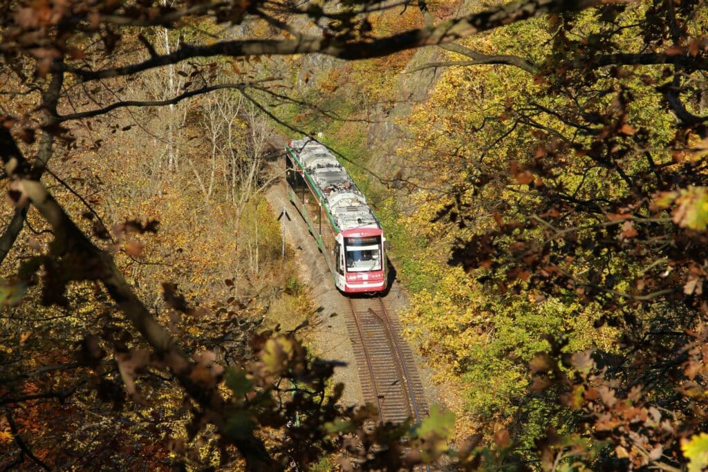 Blick von oben auf den Citylink auf der Strecke Chemnitz - Hainichen, zwischen herbstliche Blätter hindurch
