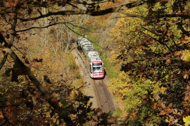 Blick von oben auf den Citylink auf der Strecke Chemnitz - Hainichen, zwischen herbstliche Blätter hindurch